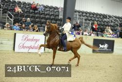 24BUCK_07071 thumbnail