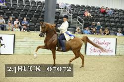 24BUCK_07072 thumbnail