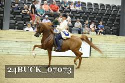 24BUCK_07073 thumbnail