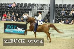 24BUCK_07074 thumbnail