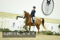 24BUCK_07078 thumbnail