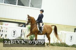 24BUCK_07079 thumbnail