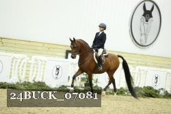 24BUCK_07081 thumbnail