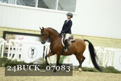 24BUCK_07083 thumbnail