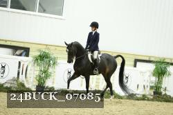 24BUCK_07085 thumbnail
