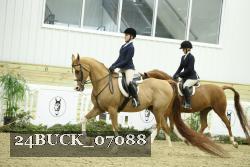 24BUCK_07088 thumbnail