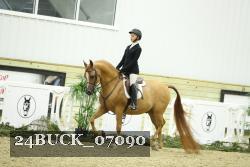 24BUCK_07090 thumbnail