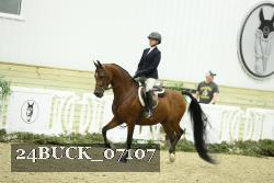 24BUCK_07107 thumbnail
