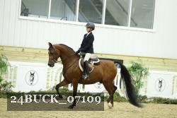 24BUCK_07109 thumbnail