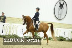 24BUCK_07111 thumbnail