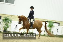 24BUCK_07113 thumbnail