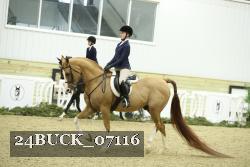 24BUCK_07116 thumbnail