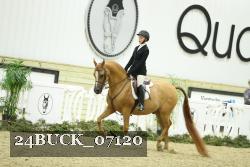 24BUCK_07120 thumbnail