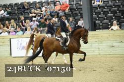 24BUCK_07150 thumbnail