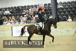 24BUCK_07151 thumbnail