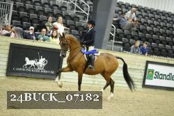 24BUCK_07182 thumbnail
