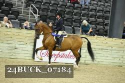 24BUCK_07184 thumbnail