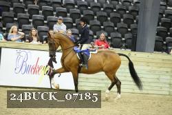 24BUCK_07185 thumbnail