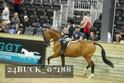 24BUCK_07188 thumbnail