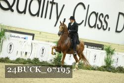 24BUCK_07195 thumbnail