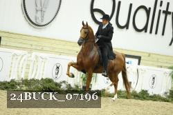24BUCK_07196 thumbnail