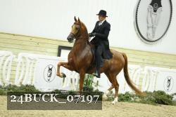 24BUCK_07197 thumbnail