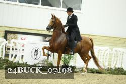 24BUCK_07198 thumbnail