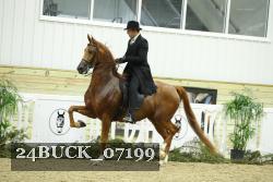 24BUCK_07199 thumbnail