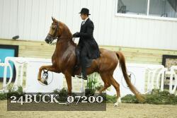 24BUCK_07200 thumbnail
