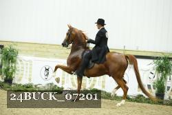 24BUCK_07201 thumbnail