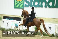24BUCK_07202 thumbnail