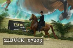 24BUCK_07203 thumbnail