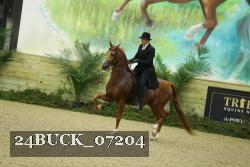24BUCK_07204 thumbnail