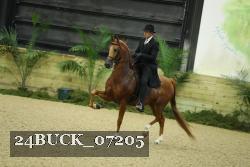 24BUCK_07205 thumbnail