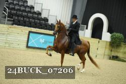 24BUCK_07206 thumbnail