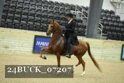 24BUCK_07207 thumbnail