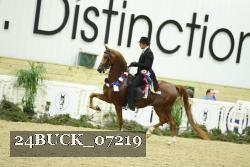 24BUCK_07219 thumbnail