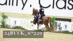 24BUCK_07220 thumbnail