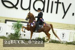 24BUCK_07222 thumbnail