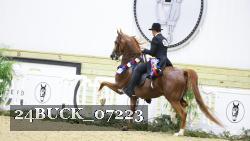 24BUCK_07223 thumbnail