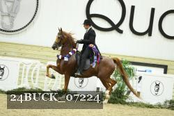 24BUCK_07224 thumbnail