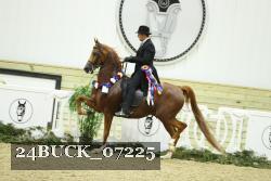 24BUCK_07225 thumbnail
