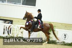 24BUCK_07226 thumbnail
