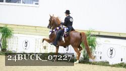 24BUCK_07227 thumbnail