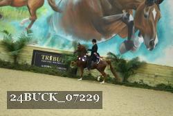 24BUCK_07229 thumbnail