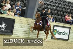 24BUCK_07233 thumbnail