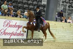 24BUCK_07237 thumbnail