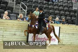 24BUCK_07238 thumbnail