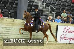 24BUCK_07239 thumbnail