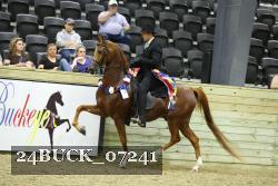 24BUCK_07241 thumbnail
